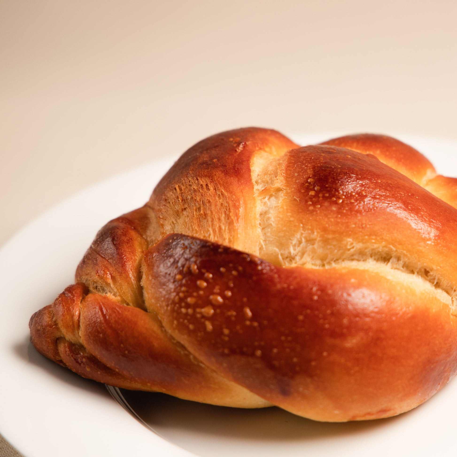 Brioche Bun